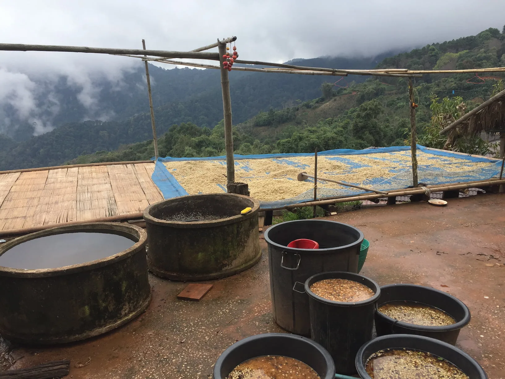 Makes Coffee Doi Pha Hee Coffee Making